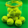Tennis 919 12 Sports Training Balls for Badminton and Tennis Printed Logo Wear Resistant Cost-effective Plastic Bag Packaging