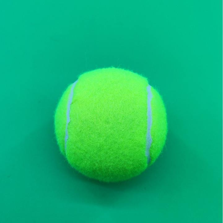 Tennis 919 12 Sports Training Balls for Badminton and Tennis Printed Logo Wear Resistant Cost-effective Plastic Bag Packaging